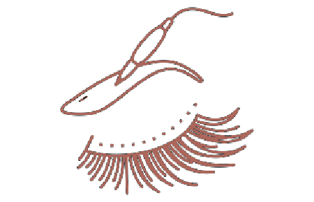 Eyebrow Lamination